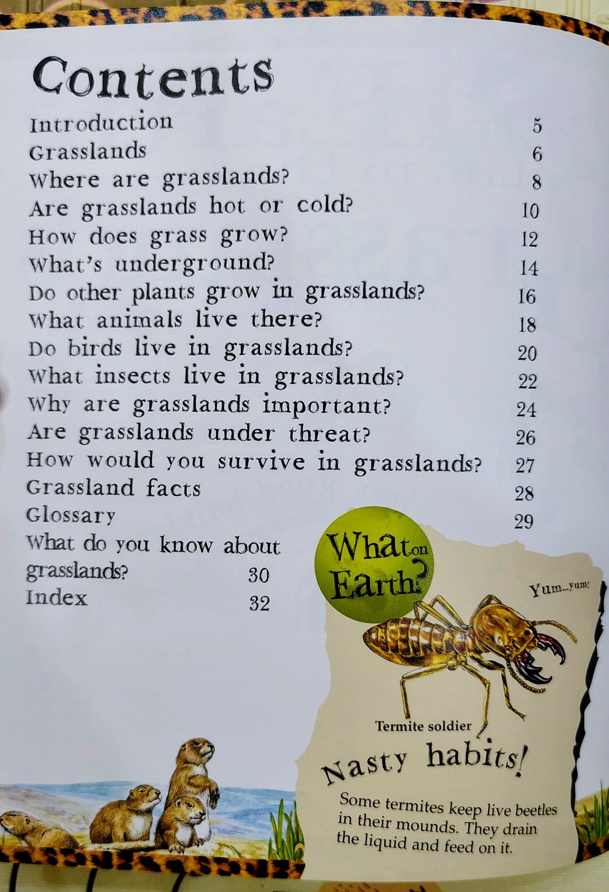 What on Earth? Life in the Grasslands by Book House | Book House
