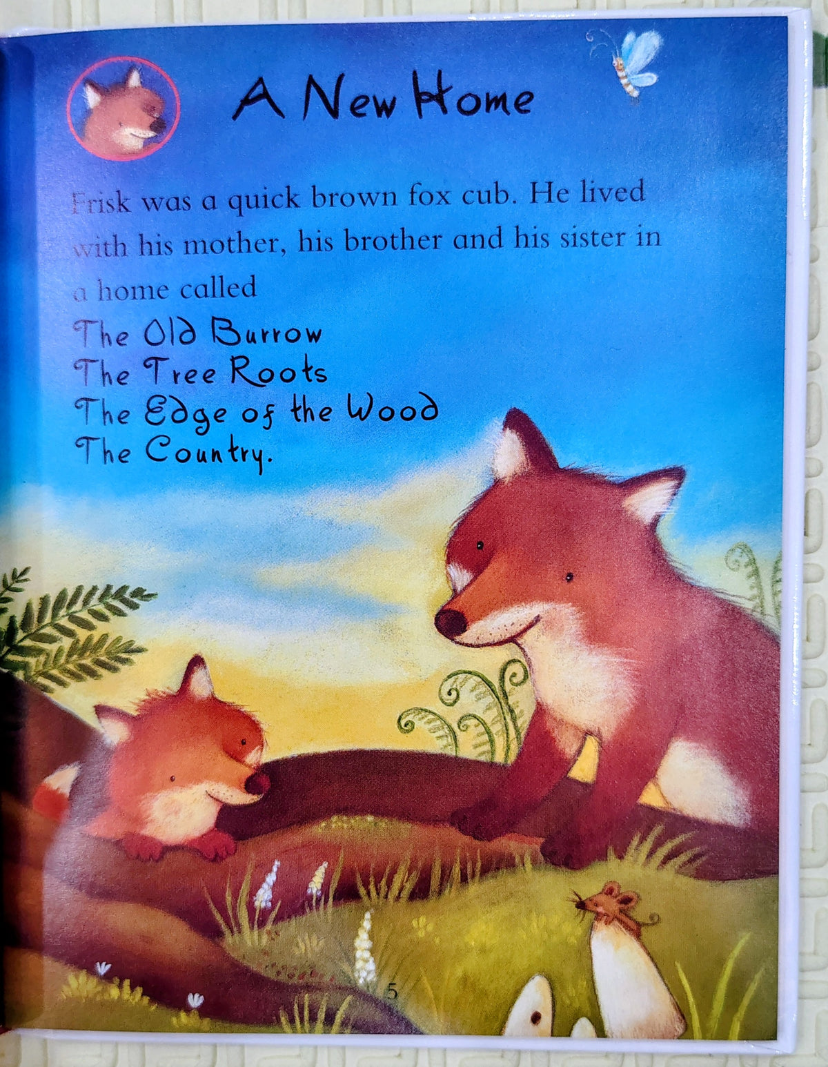 The Quick Brown Fox Cub by Julia Donaldson | Egmont Mini Book