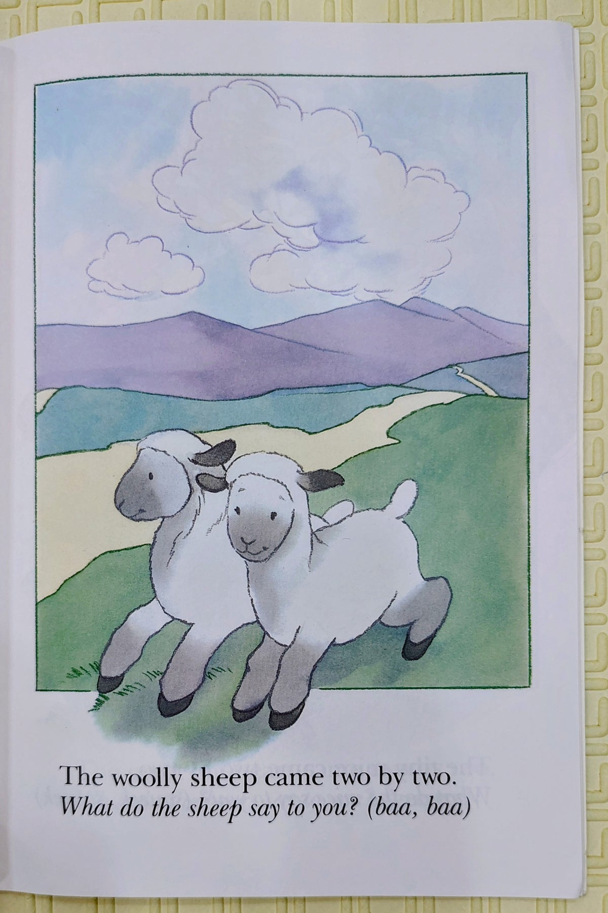 Two By Two: The Story of Noah's Faith by Marilyn Lashbrook | Candle books