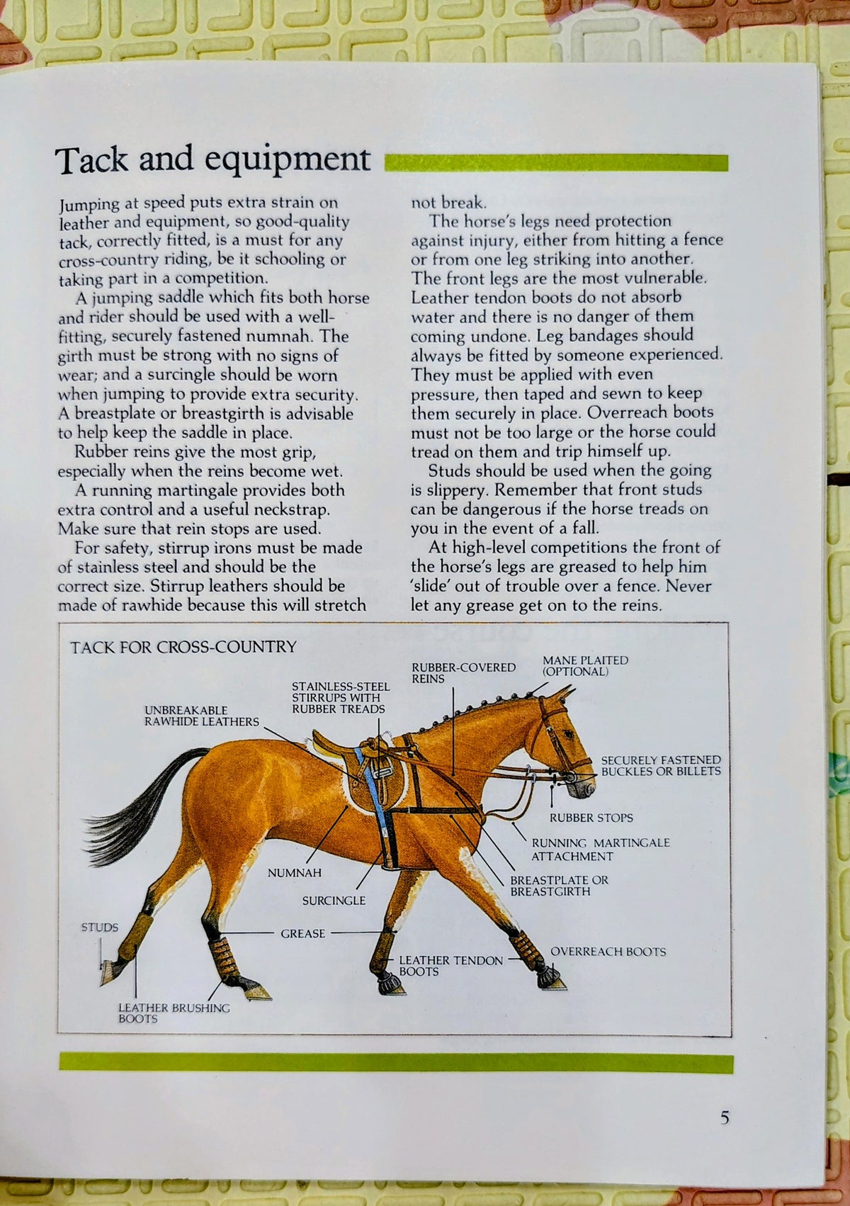 Jumping Cross-Country Fences by Jane Thelwall | Threshold Picture Guides | Riding Guide
