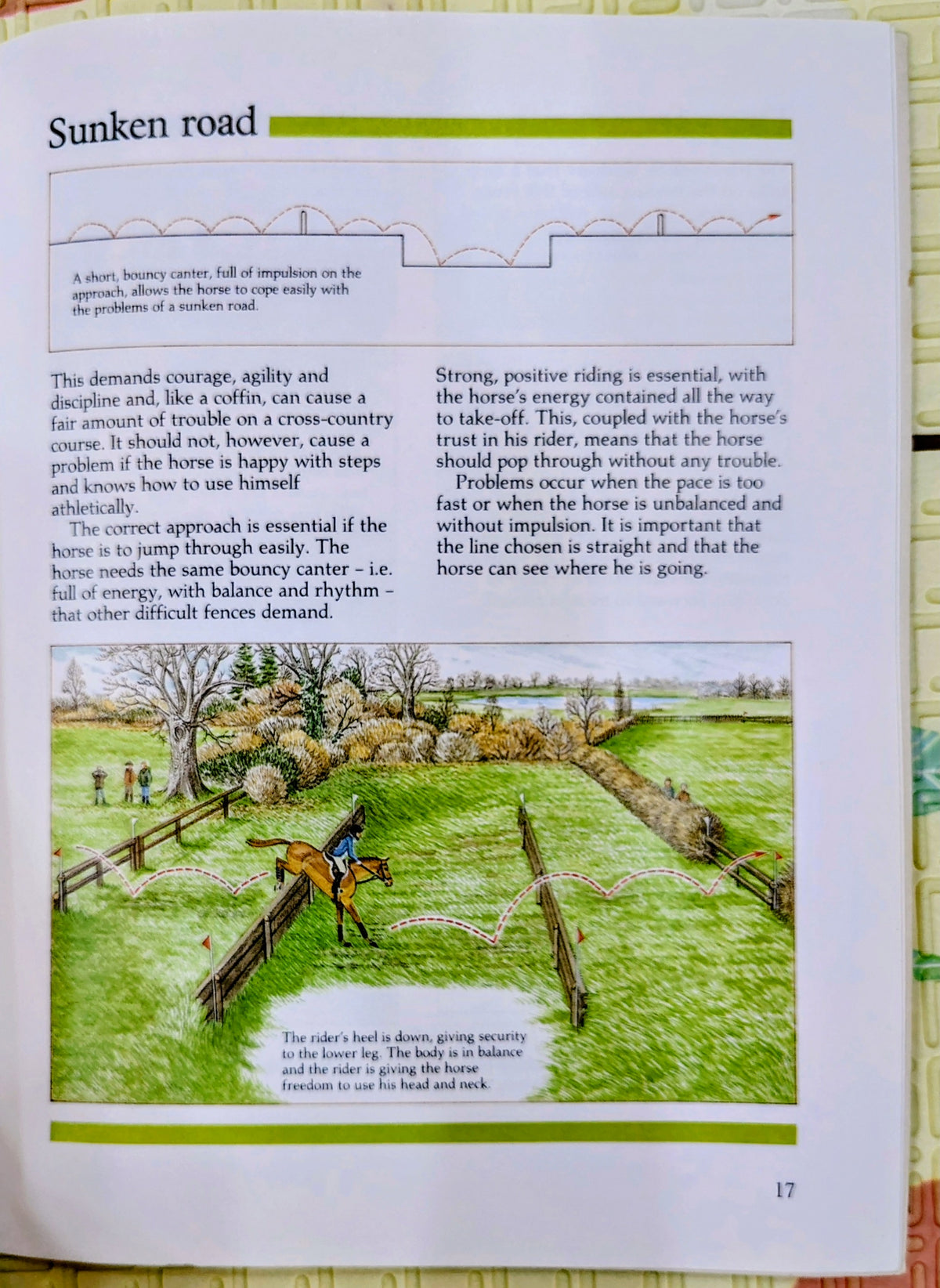 Jumping Cross-Country Fences by Jane Thelwall | Threshold Picture Guides | Riding Guide