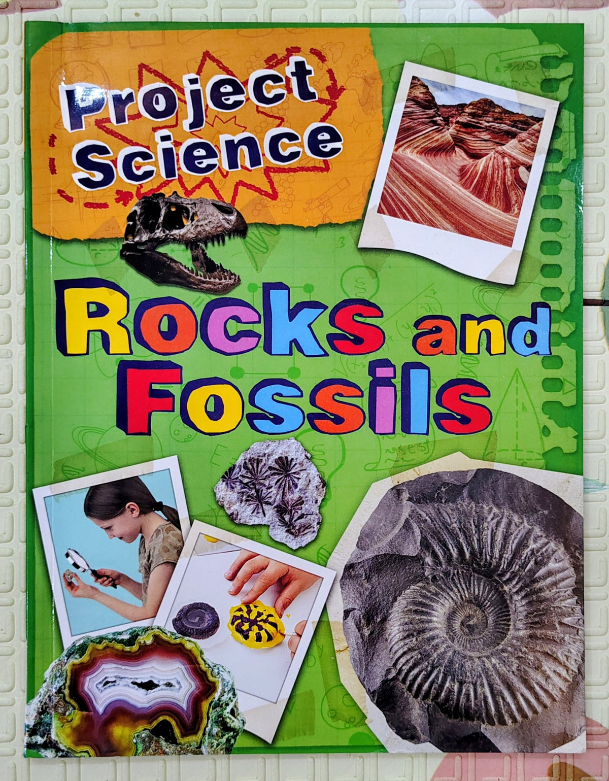Project Science: Rocks and Fossils | Kingfisher | Educational Science