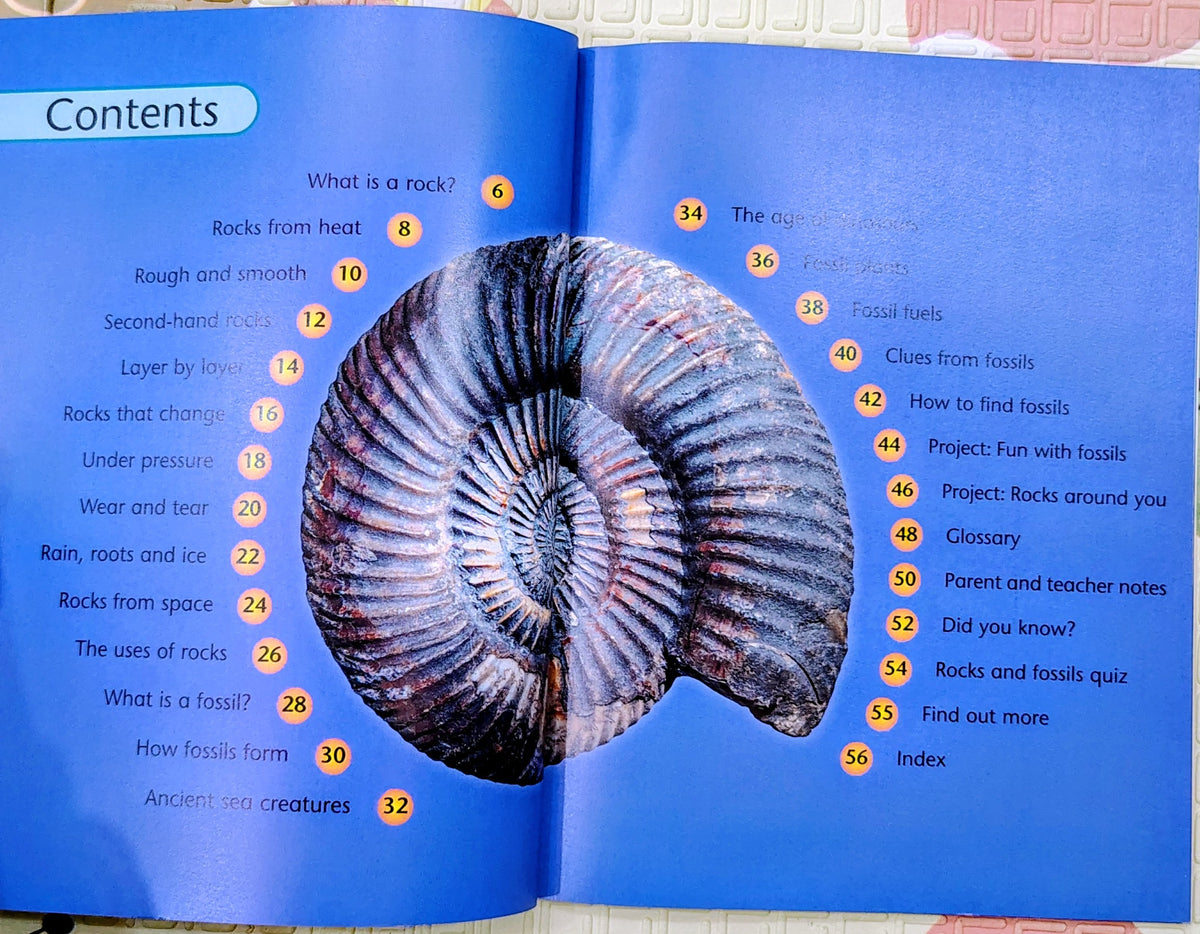 Project Science: Rocks and Fossils | Kingfisher | Educational Science