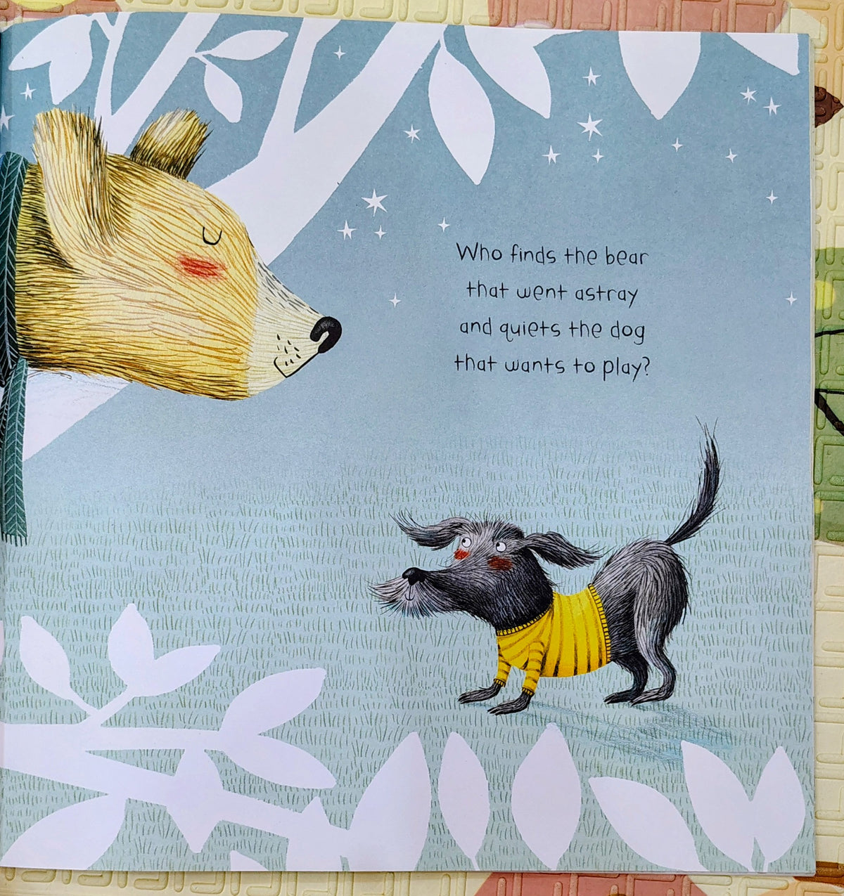 Who Puts the Animals to Bed? by Mij Kelly and Holly Clifton-Brown | Macmillan | Bedtime Story