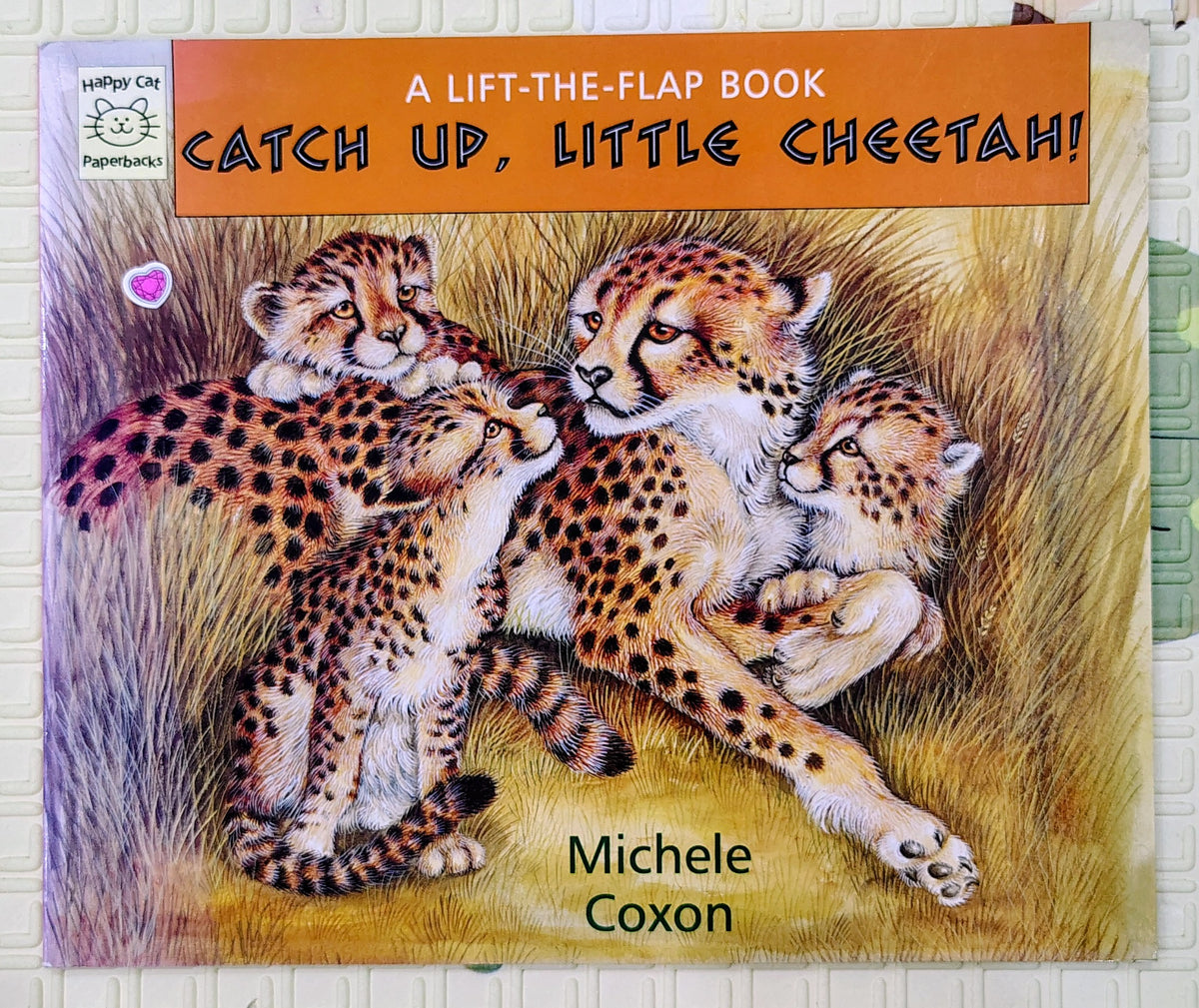 Catch Up, Little Cheetah by Michele Coxon | Lift the Flap