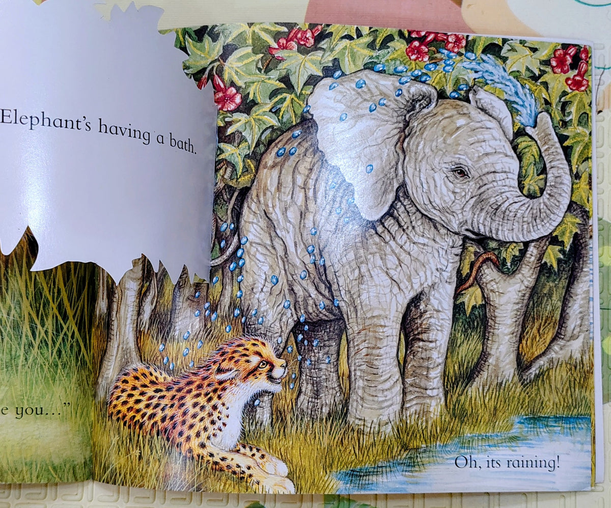 Catch Up, Little Cheetah by Michele Coxon | Lift the Flap