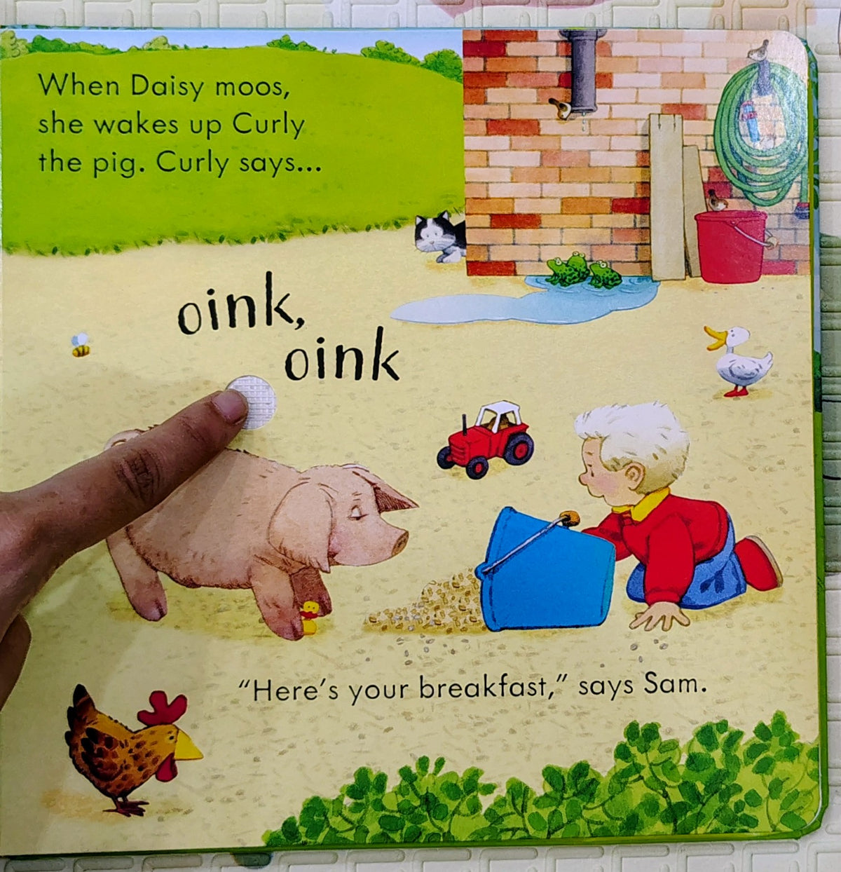 Poppy and Sam's Animal Sounds by Stephen Cartwright | Usborne Sound Book