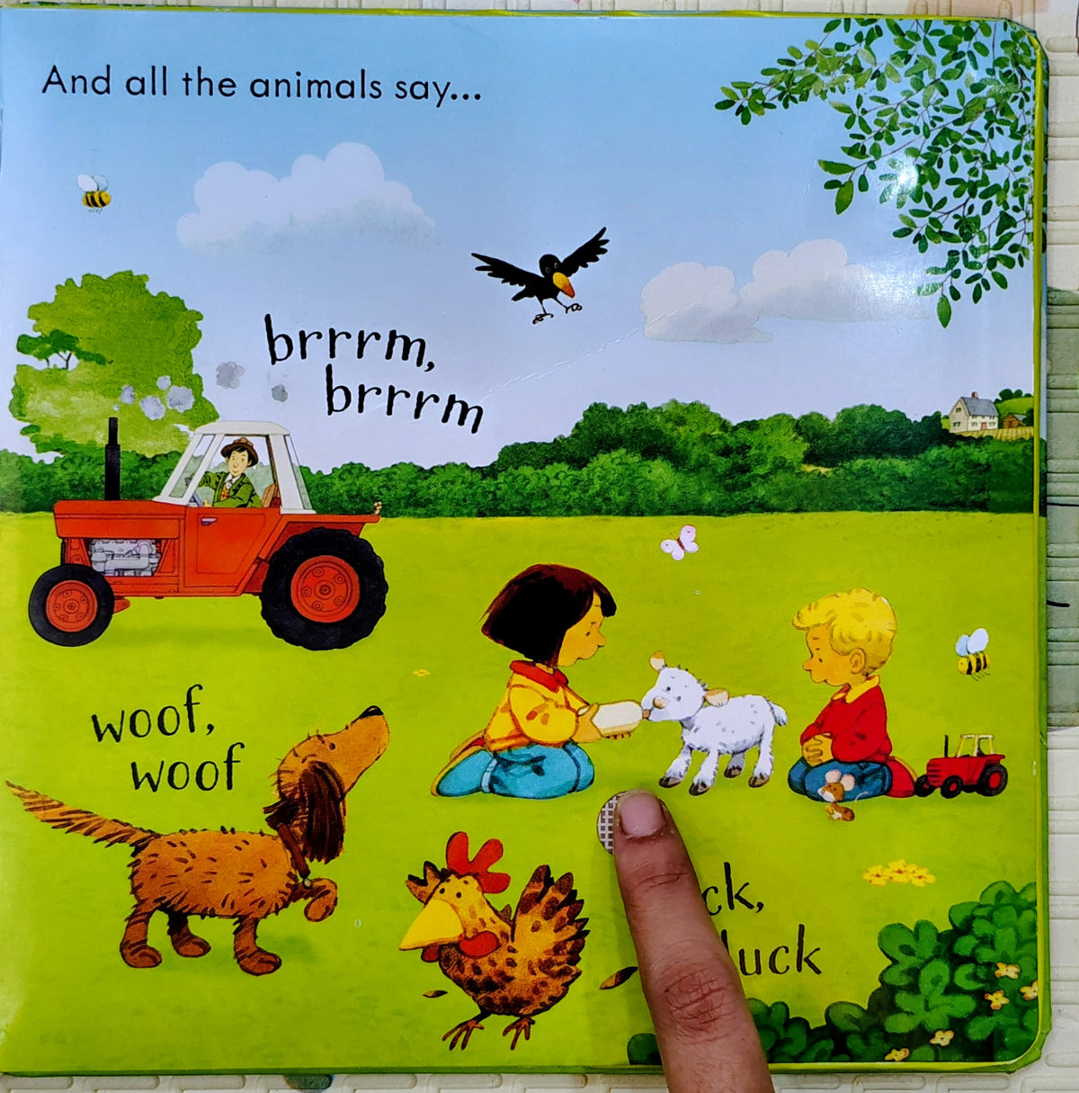 Poppy and Sam's Animal Sounds by Stephen Cartwright | Usborne Sound Book