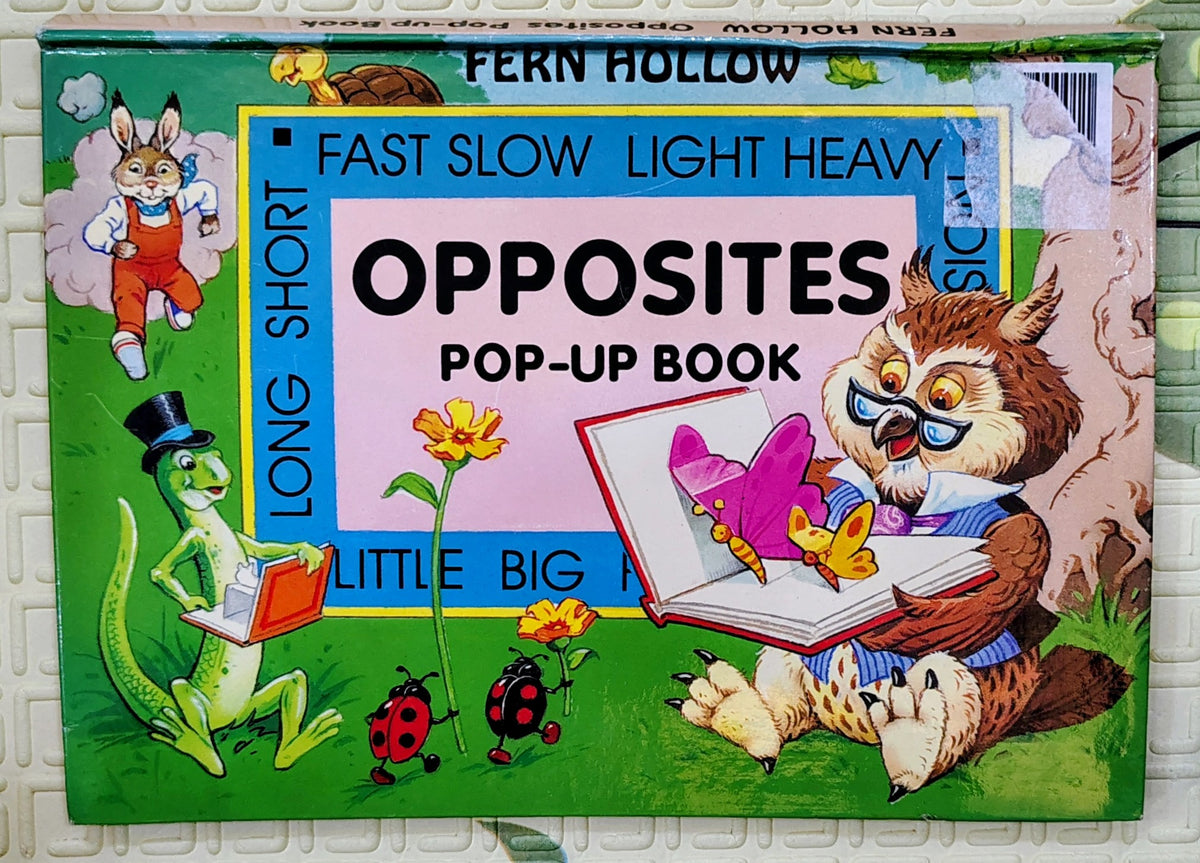 Fern Hollow Opposites Pop-Up Book by John Patience