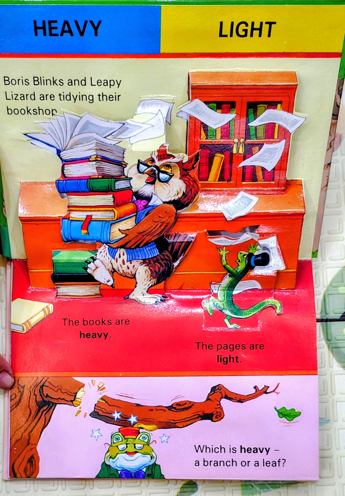 Fern Hollow Opposites Pop-Up Book by John Patience