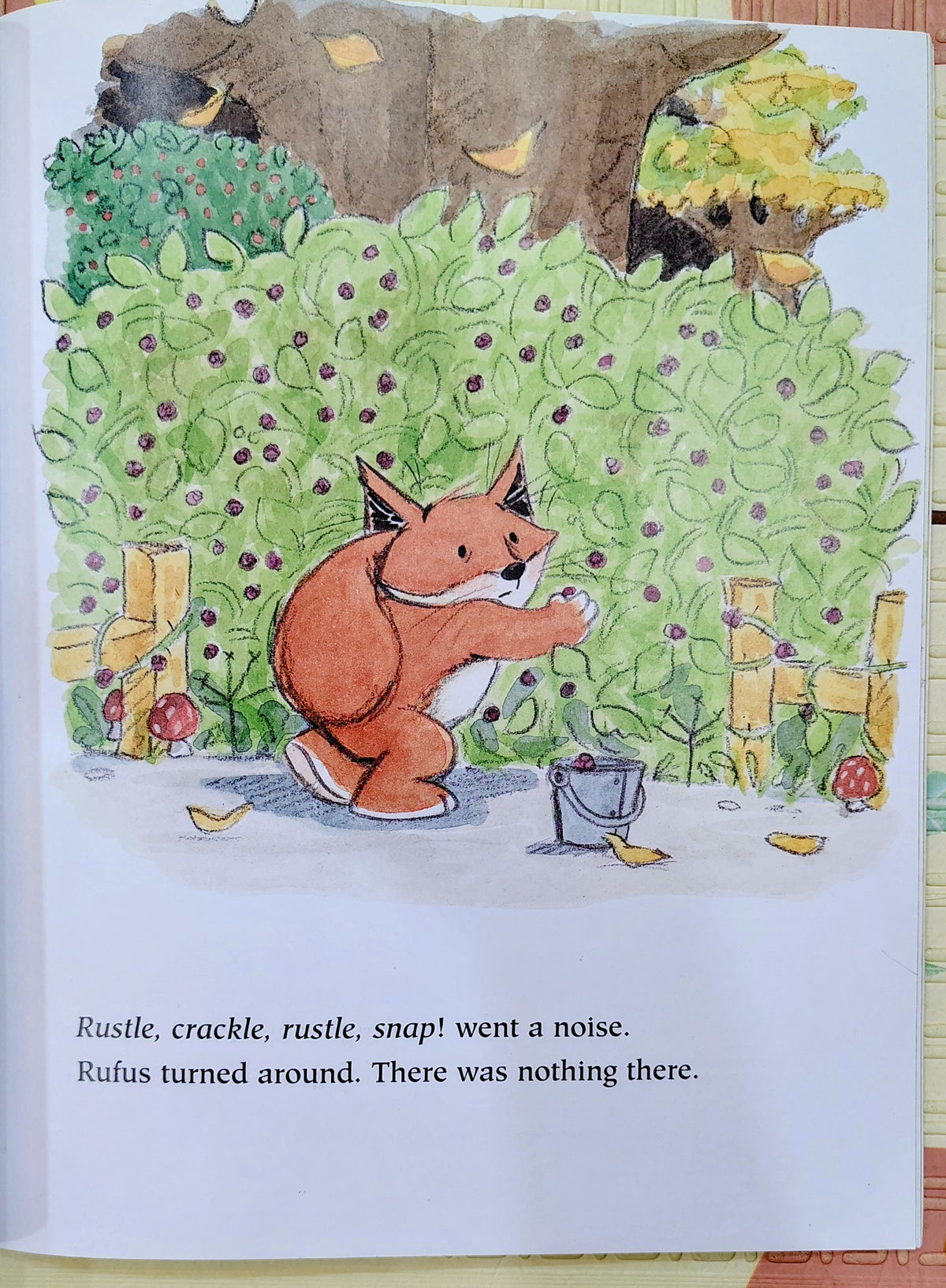 Rufus and the Blackberry Monster by Lisa Stubbs | Piccadilly