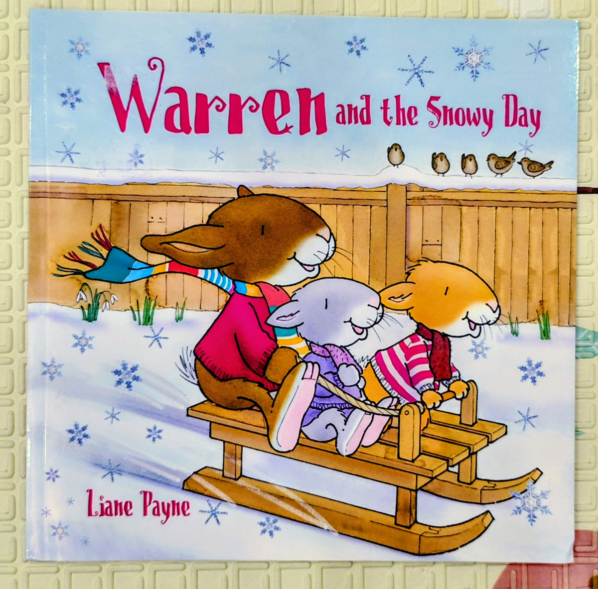 Warren and the Snowy Day by Liane Payne | PippBrook