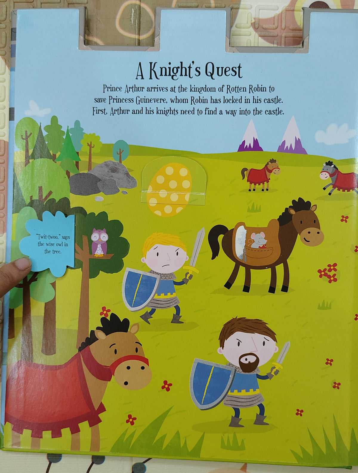 Peek and Seek Knights' Castle | 100 Flaps to Lift | IglooBooks