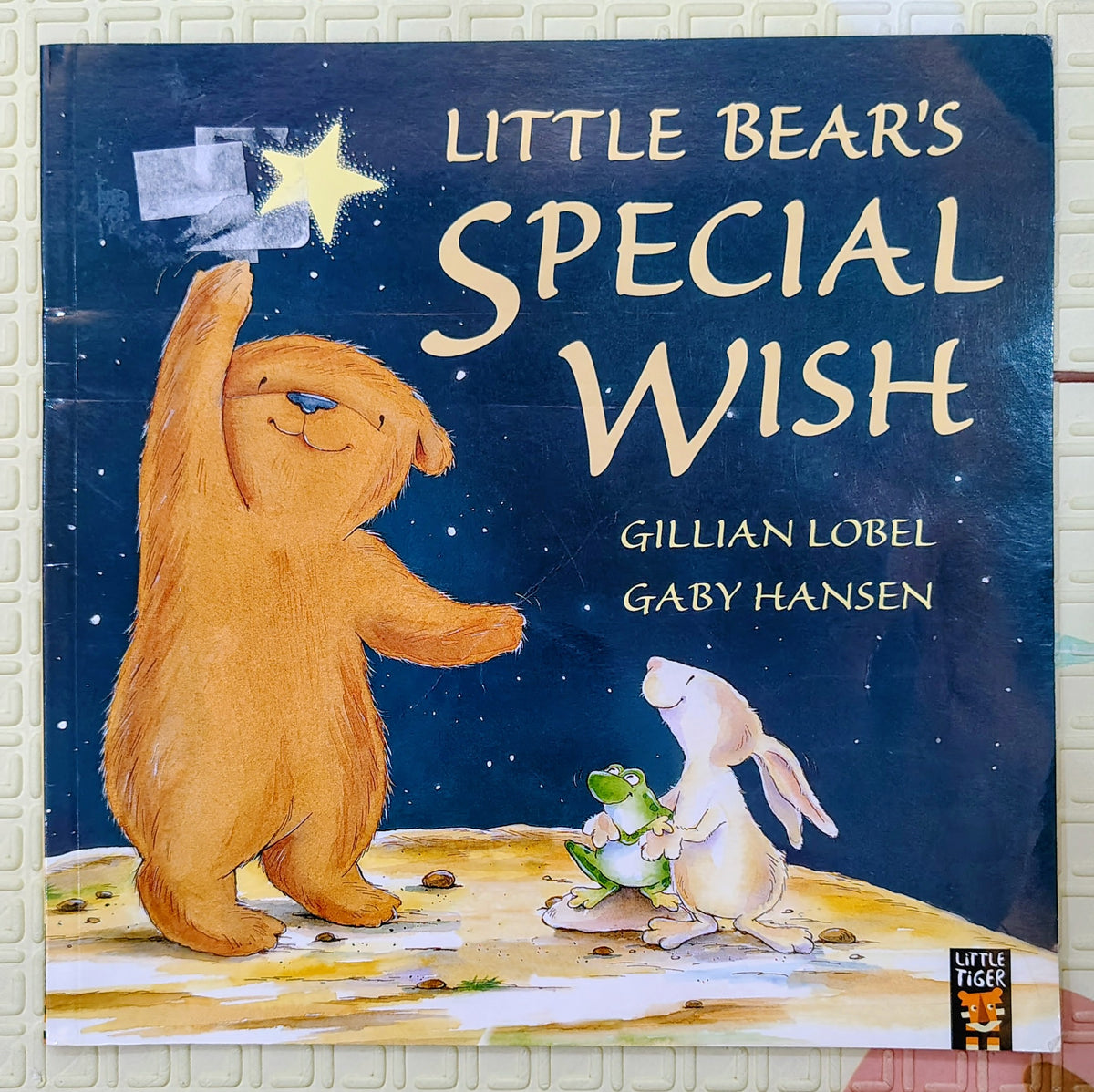 Little Bear's Special Wish by Gillian Lobel and Gaby Hansen | Little Tiger Press