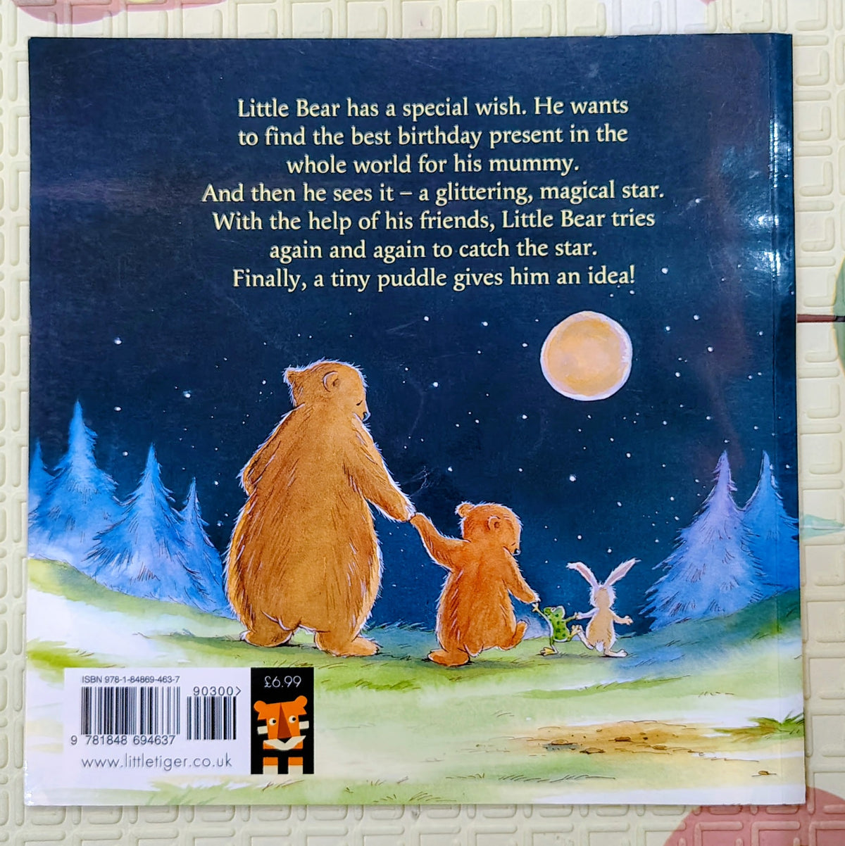 Little Bear's Special Wish by Gillian Lobel and Gaby Hansen | Little Tiger Press