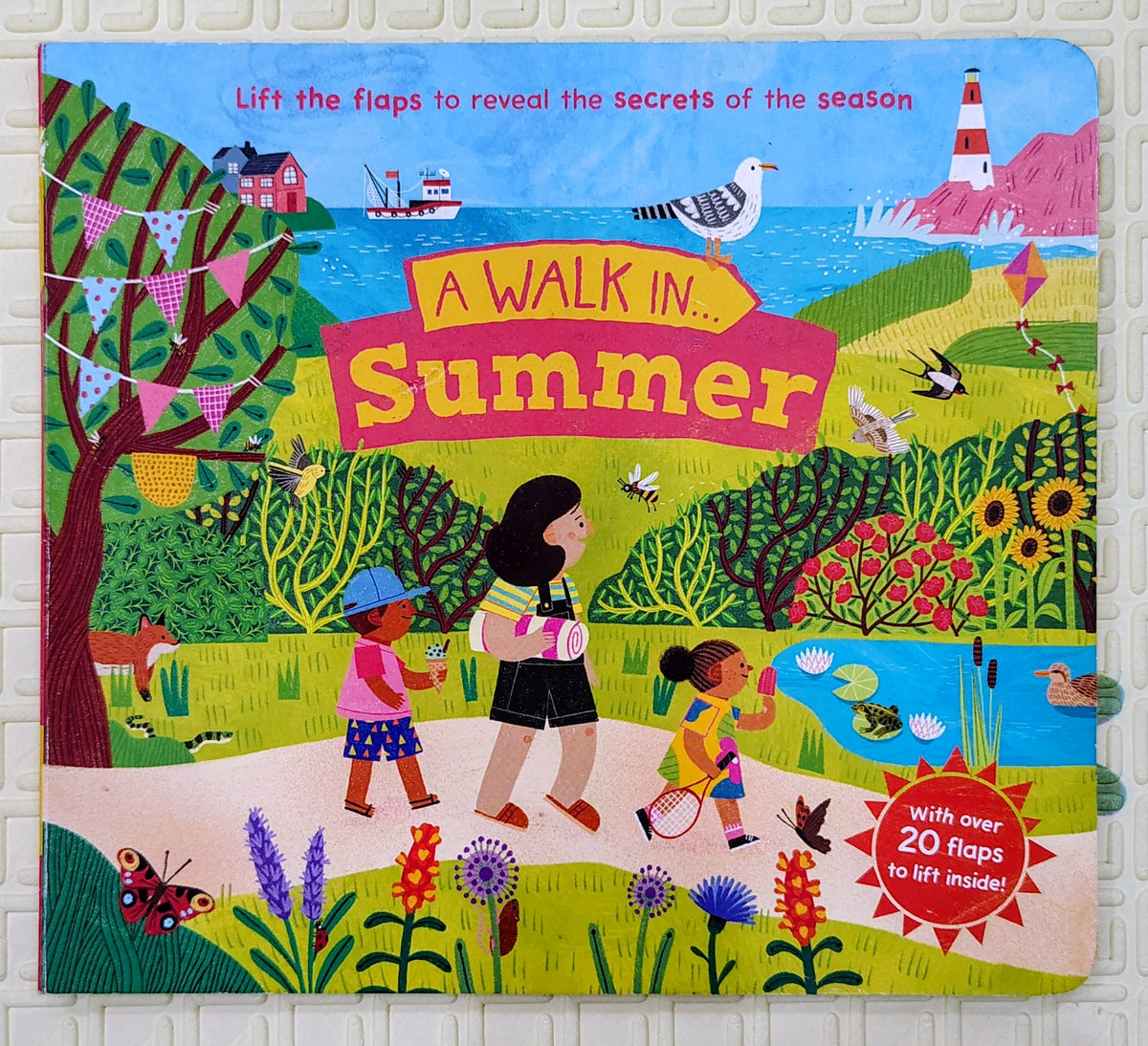 A Walk in Summer | Lift the Flap to know the Season