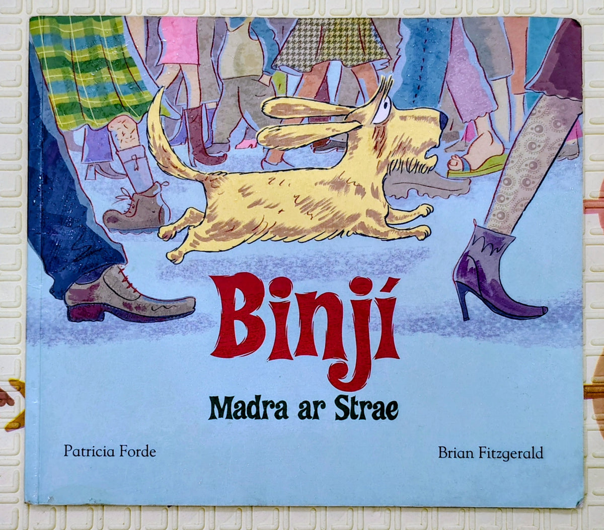 Binjí Madra ar Strae by Patricia Forde | Irish story