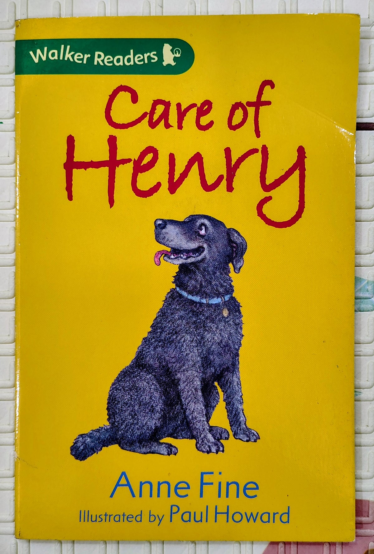 Care of Henry by Anne Fine | Walker Readers