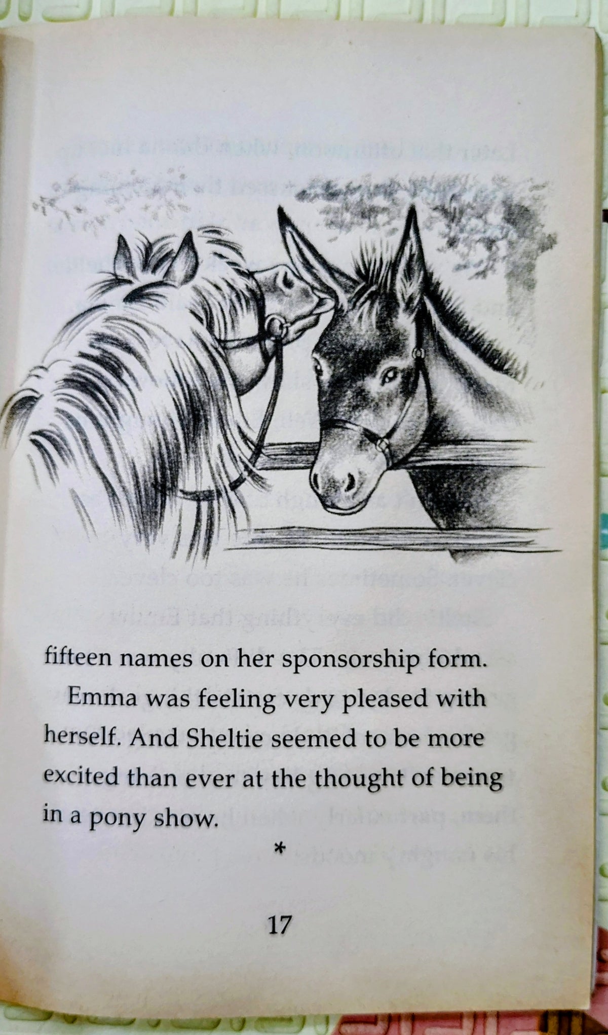 Sheltie Rides to Win by Peter Clover | Puffin