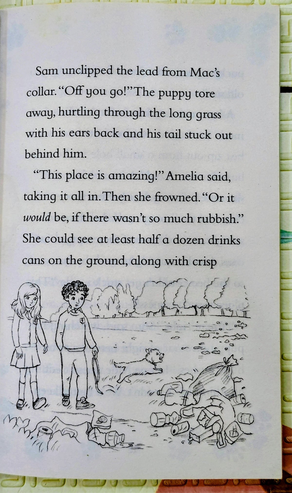 Animal Ark: Lost Kitten by Lucy Daniels | Hachette