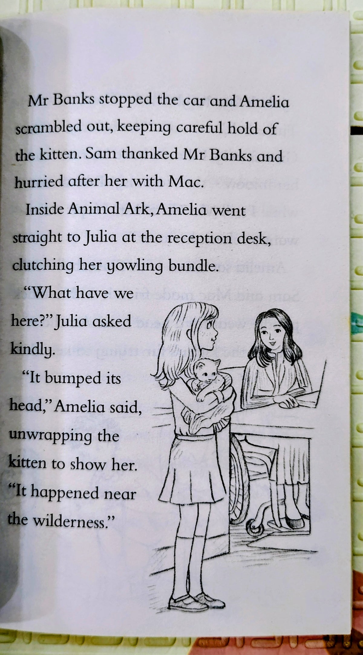 Animal Ark: Lost Kitten by Lucy Daniels | Hachette