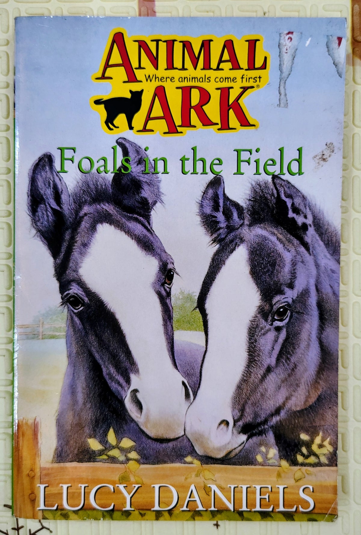 Animal Ark: Foals in the Field by Lucy Daniels | Hodder Children