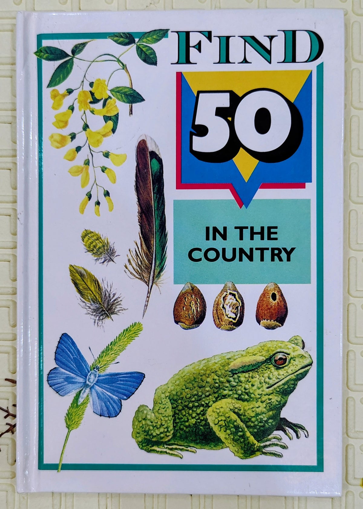 Find 50 in the Country | Activity Book