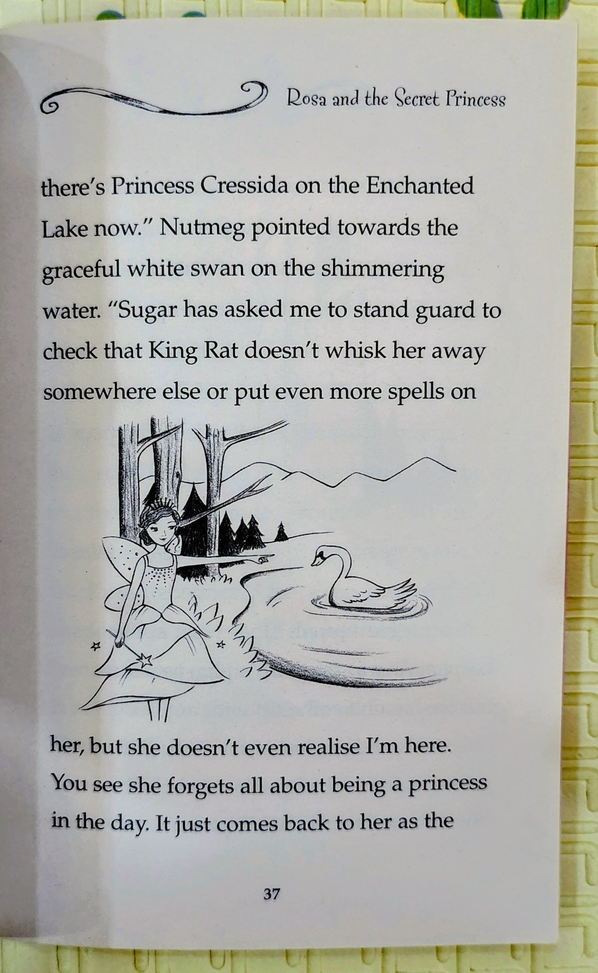 Magic Ballerina: Rosa and the Secret Princess by Darcey Bussell | HarperCollins