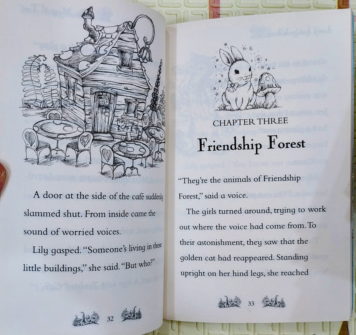 Magic Animal Friends: Lucy Longwhiskers Gets Lost by Daisy Meadows | Orchard Books | Fantasy