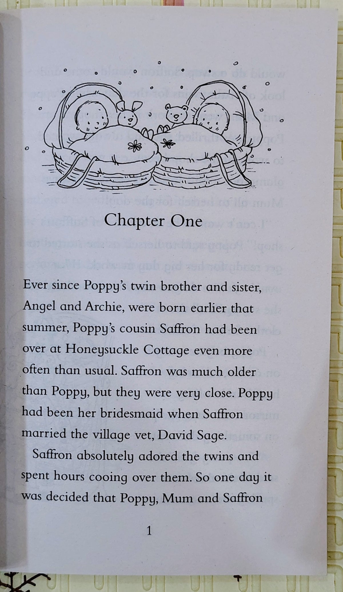 Princess Poppy: The Big Mix-Up by Janey Louise Jones | Random House