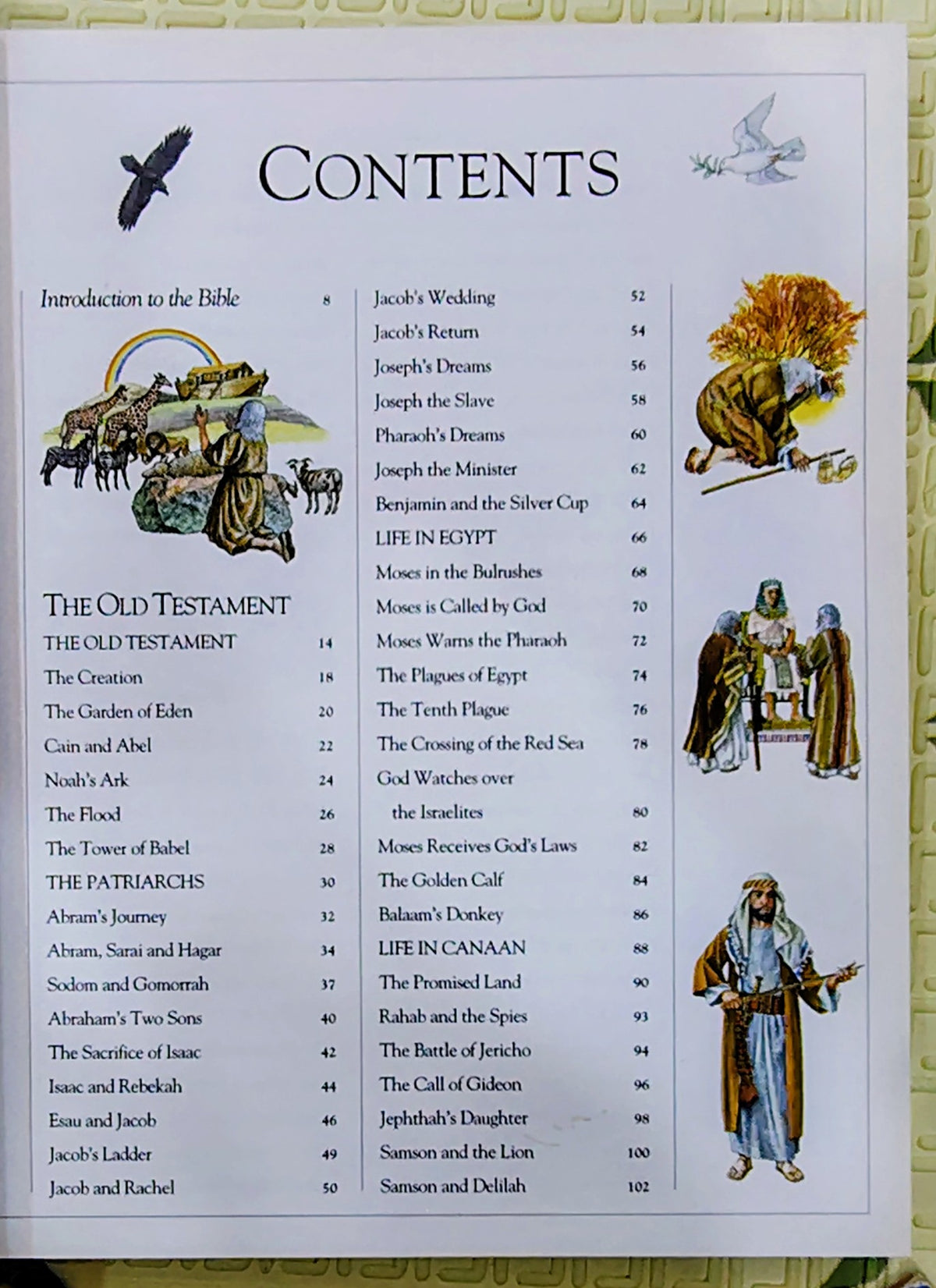 The Children's Illustrated Bible by Selina Hastings | Dorling Kindersley | Religious
