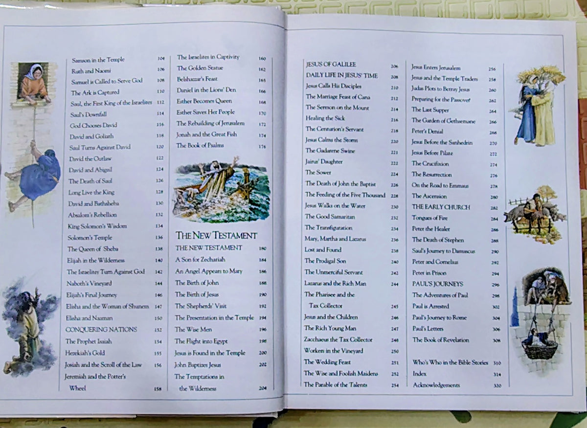 The Children's Illustrated Bible by Selina Hastings | Dorling Kindersley | Religious