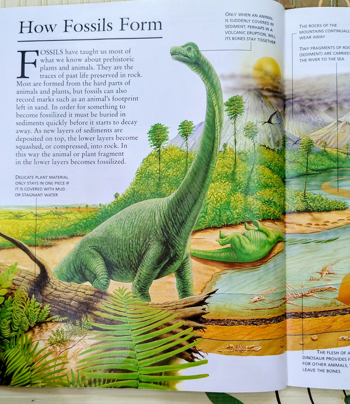 How It Works: Discovering Prehistory by Robert Muir Wood | Horus | Educational