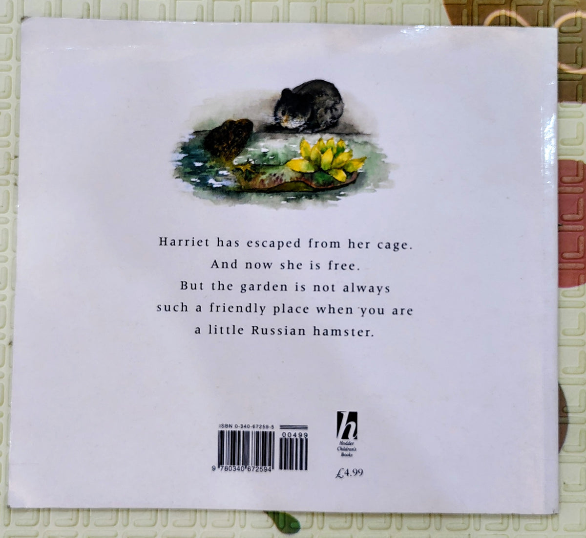 Harriet by Deborah Inkpen | Hodder Children Books