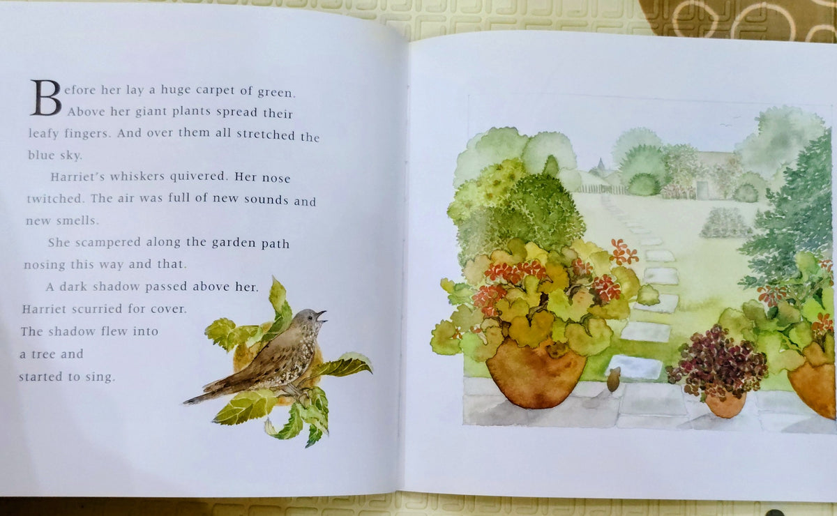 Harriet by Deborah Inkpen | Hodder Children Books