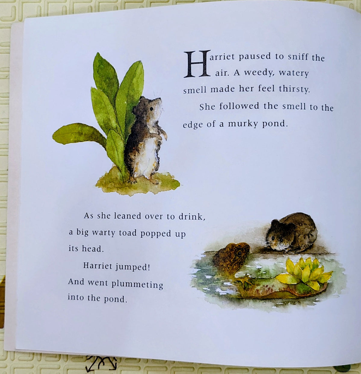 Harriet by Deborah Inkpen | Hodder Children Books