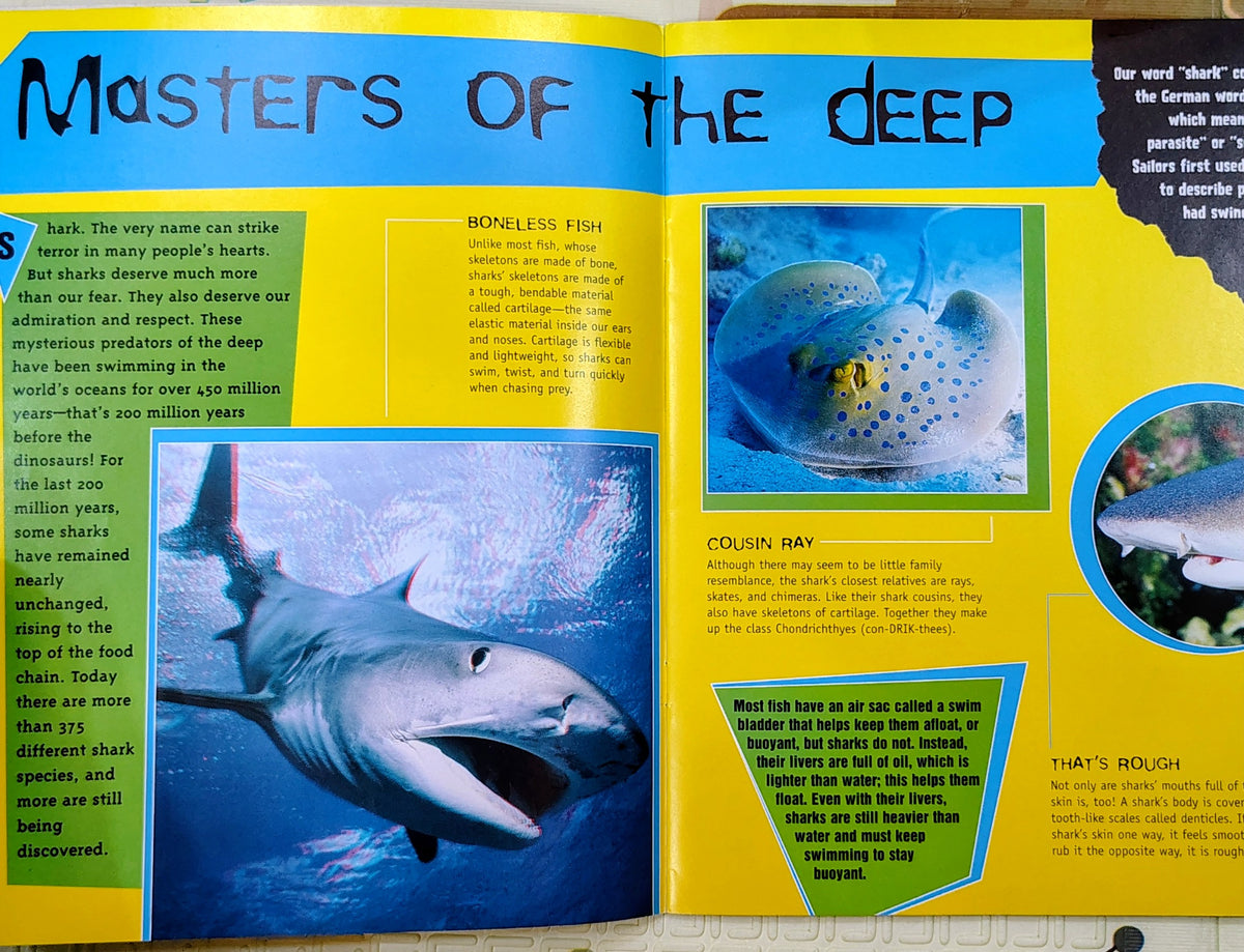 3-D Thrillers! Sharks | Non-Fiction