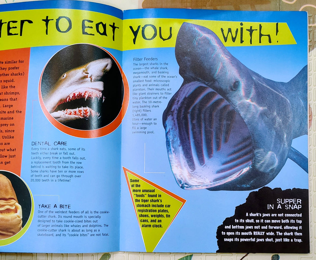 3-D Thrillers! Sharks | Non-Fiction
