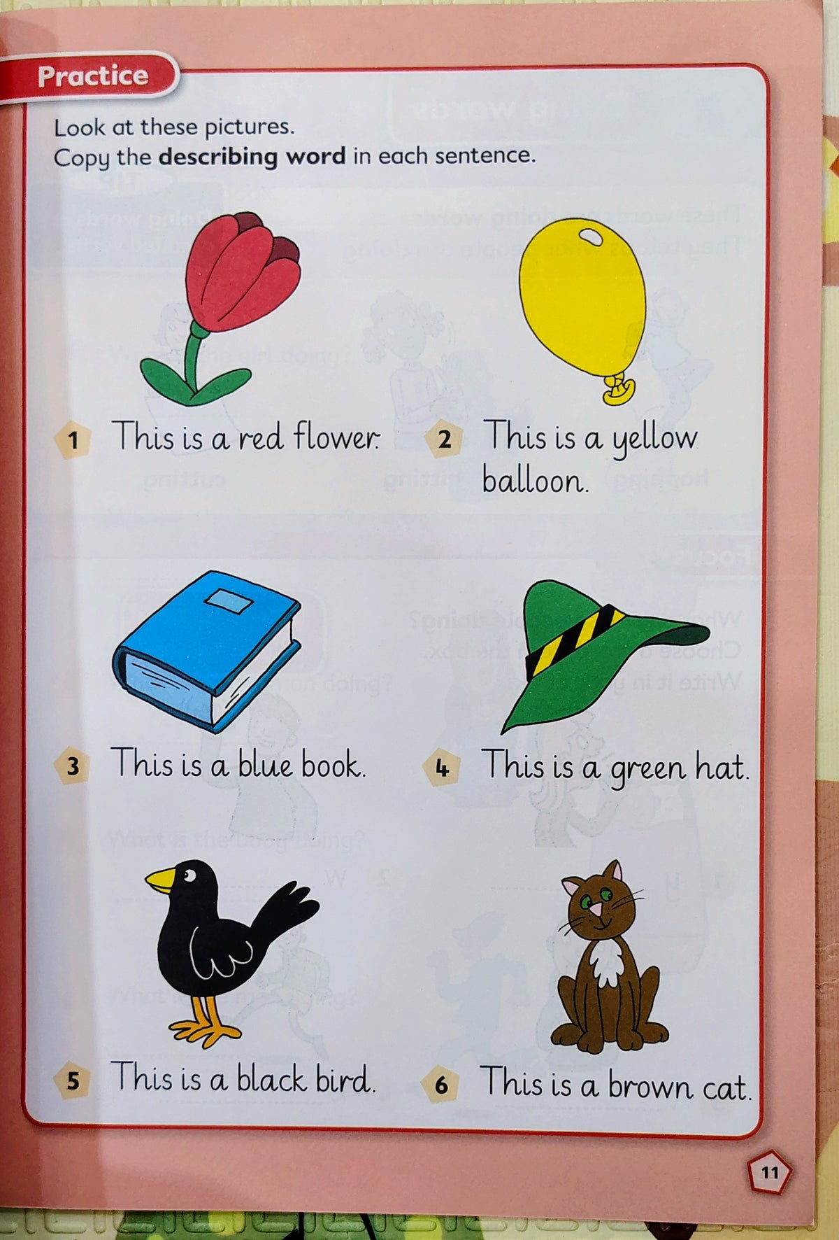 Nelson Grammar International Pupil Book 1 by Wendy Wren and Sarah Lindsay | 5-6 years