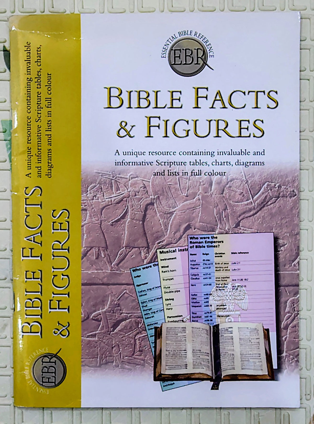 Bible Facts & Figures | Essential Bible Reference