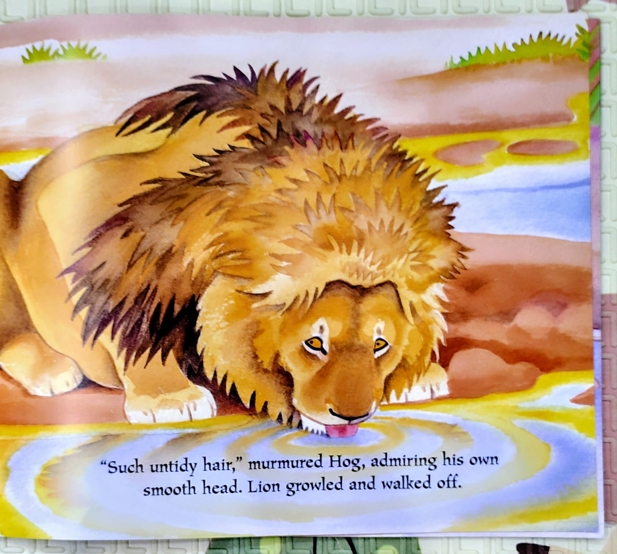 Handsome Hog by Mwenye Hadithi and Adrienne Kennaway | Hodder | Fables & Folklore