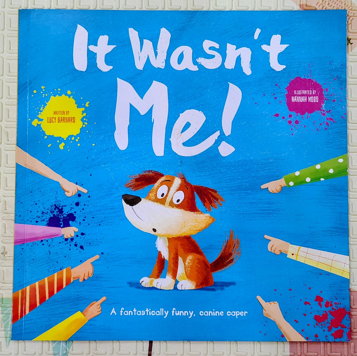 It Wasn't Me! by Lucy Barnard and Hannah Moo | IglooBooks