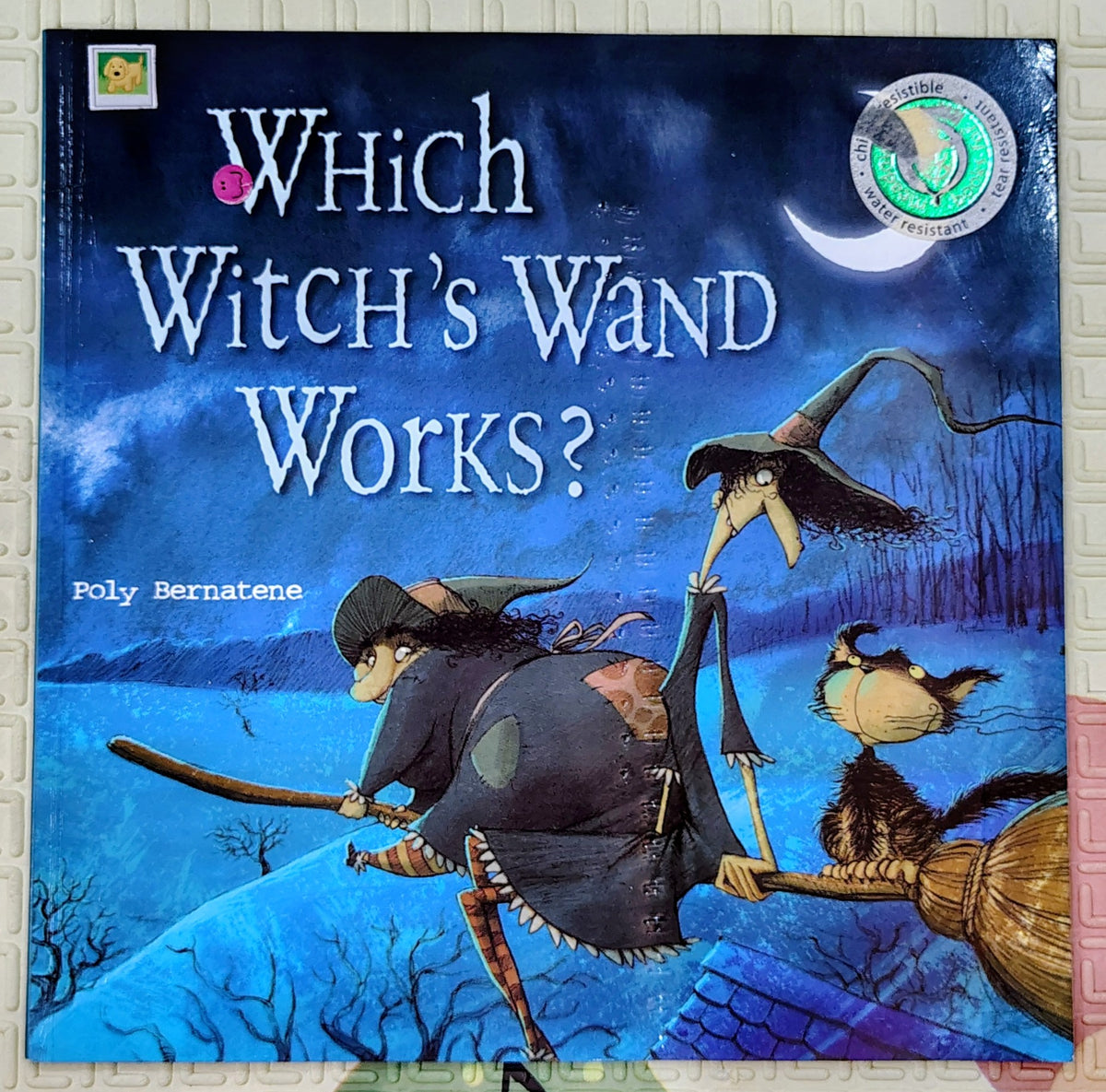 Which Witch's Wand Works? by Polly Bernatene | Meadowside Book