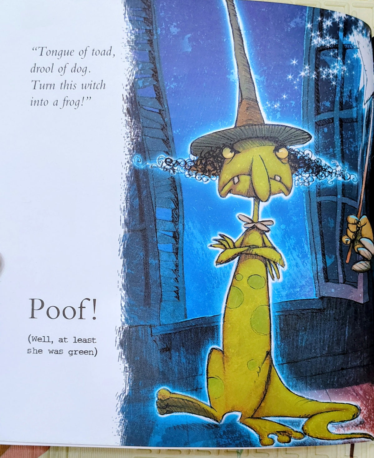 Which Witch's Wand Works? by Polly Bernatene | Meadowside Book