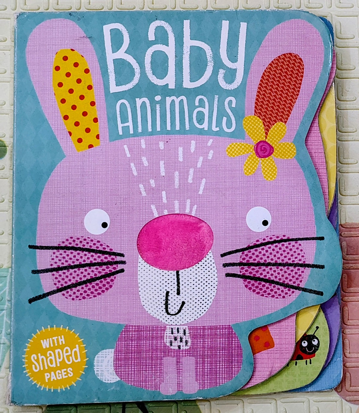 Baby Animals by Clare Fennel | Shapes Pages Boardbook