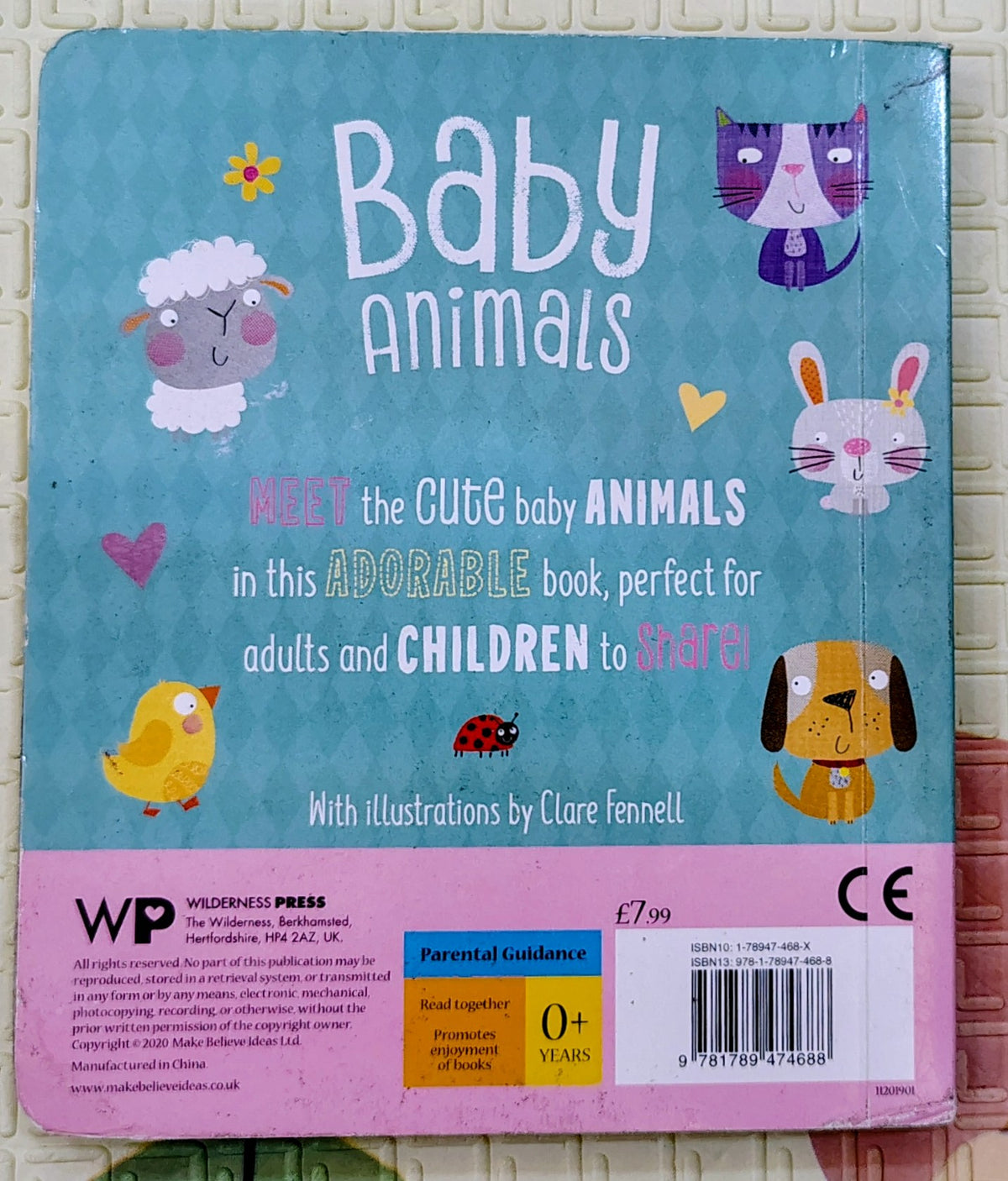 Baby Animals by Clare Fennel | Shapes Pages Boardbook