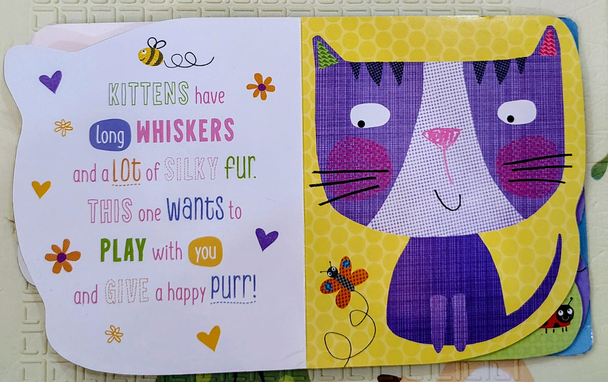 Baby Animals by Clare Fennel | Shapes Pages Boardbook