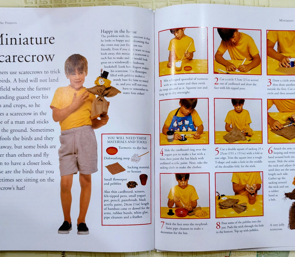 Show Me How I Can Do Crafts by Sally Walton | Step by Step