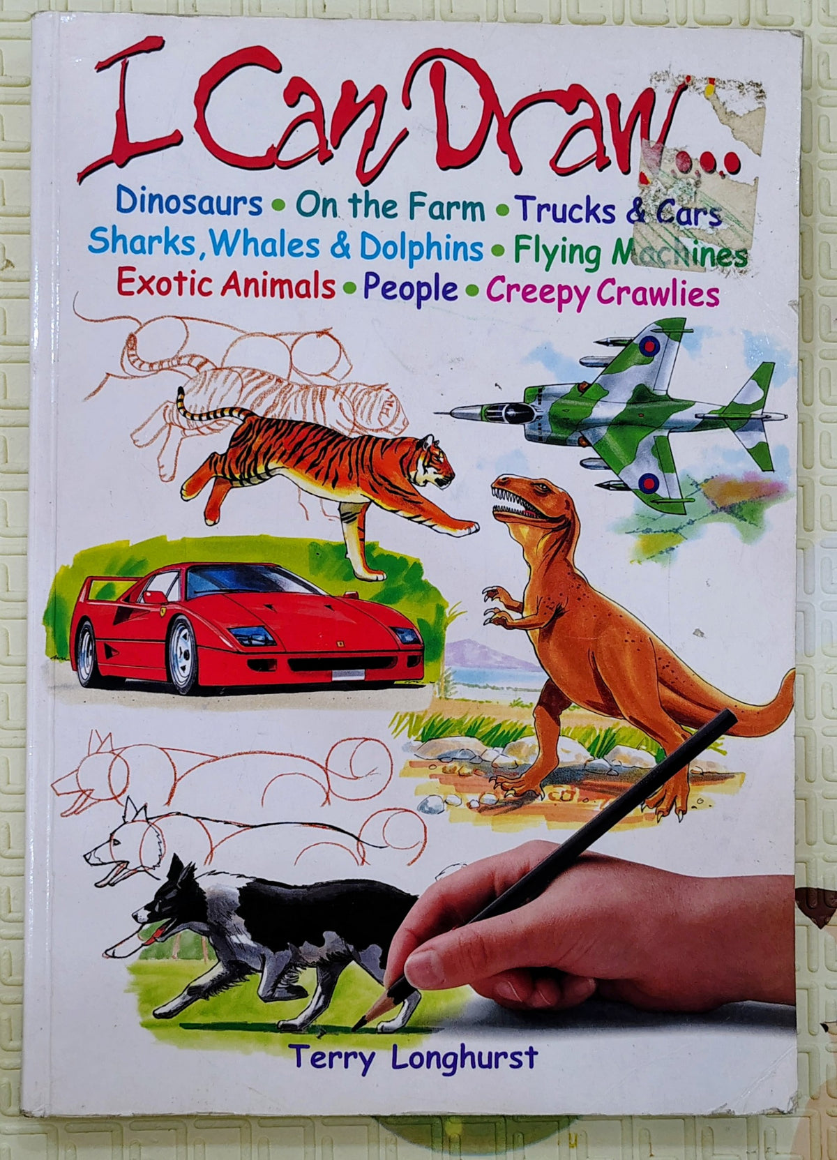 I Can Draw... by Terry Longhurst | Parragon | Art