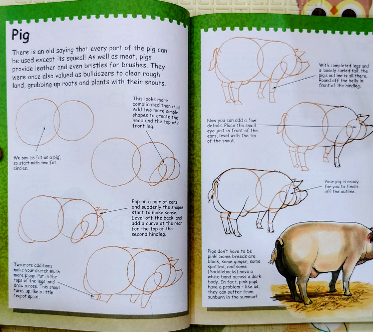 I Can Draw... by Terry Longhurst | Parragon | Art